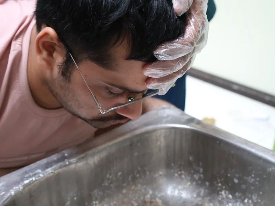 Vamana therapeutic emesis Panchakarma therapy